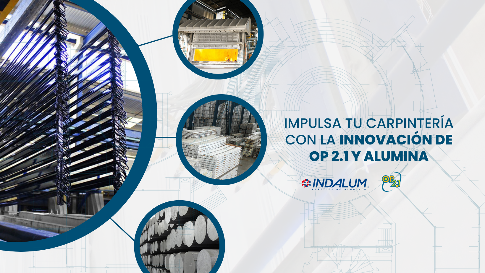 Imagen de la novedad
